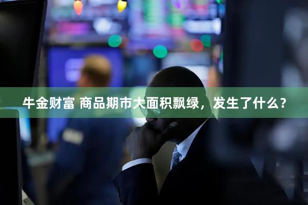 牛金财富 商品期市大面积飘绿，发生了什么？