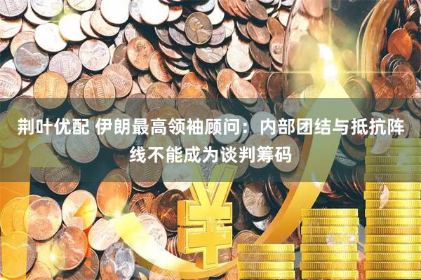 荆叶优配 伊朗最高领袖顾问：内部团结与抵抗阵线不能成为谈判筹码